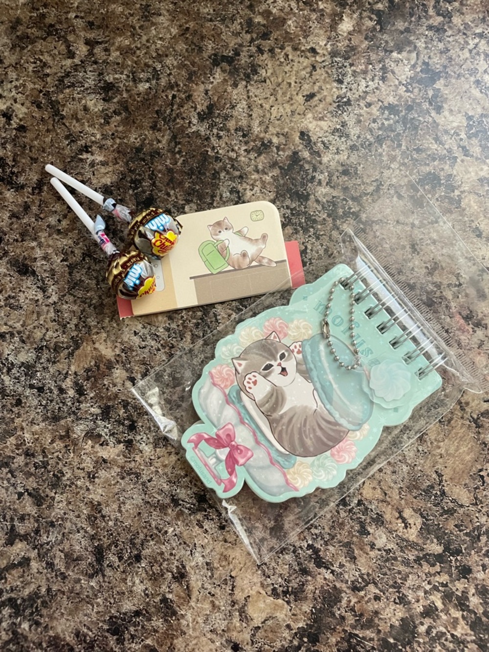 Mint Cat Charm Spiral Notebook Keychain